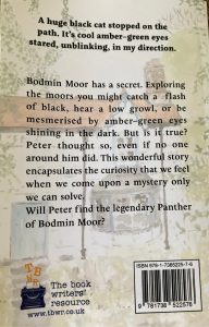 Back cover of Peter and the Panther by Jayne Knight